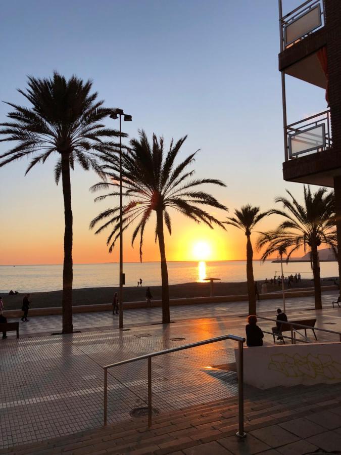 Trendy Homes Paseo Maritimo
